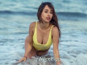 AlicePipp