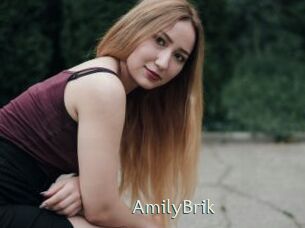 AmilyBrik