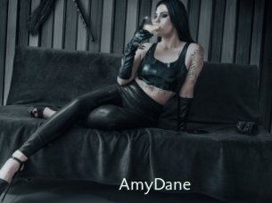 AmyDane 1 grosse chatte poilue