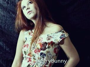 AngryBunny