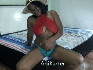AniKarter