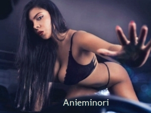 Anieminori