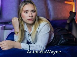AntonelaWayne