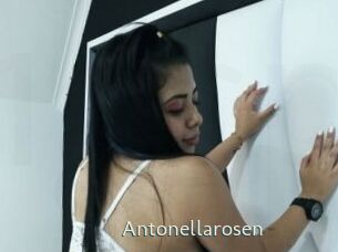 Antonellarosen