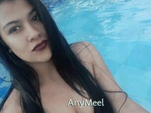 AnyMeel
