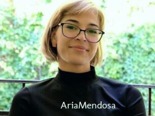 AriaMendosa
