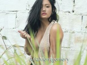 AriaMontgomery