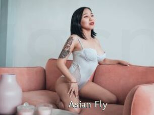 Asian_Fly