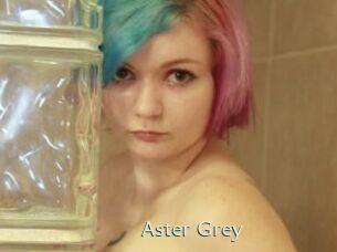 Aster_Grey