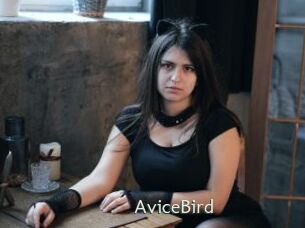 AviceBird
