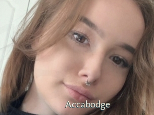 Accabodge
