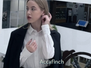 Accafinch