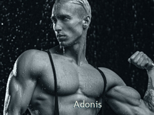 Adonis_