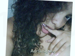 adrianagate 1 grosse chatte poilue