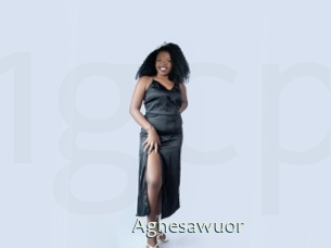 Agnesawuor