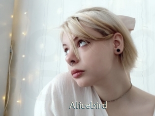 Alicebird