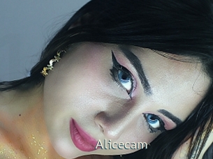 Alicecam