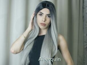 Alicequin