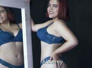 Alicerey