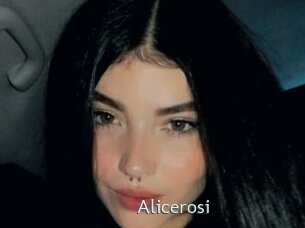Alicerosi