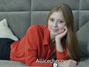 Allicecherry
