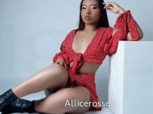 Allicerosse