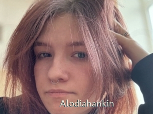 Alodiahankin