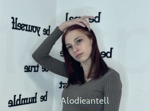 Alodieantell