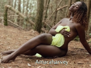 Amaraharvey