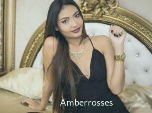 Amberrosses