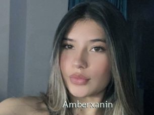 amberxanin 1 grosse chatte poilue