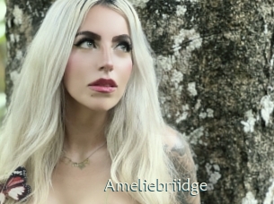 Ameliebriidge
