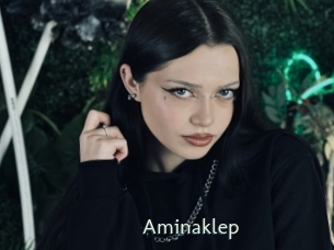 Aminaklep