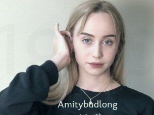 Amitybudlong