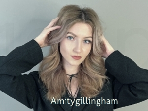 amitygillingham 1 grosse chatte poilue