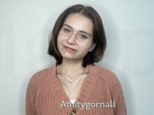 Amitygornall