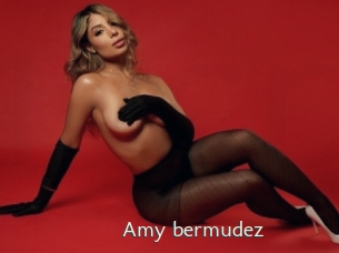 Amy_bermudez