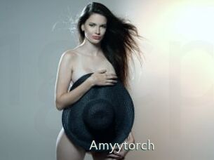 Amyytorch