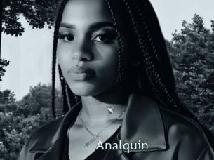 Analquin