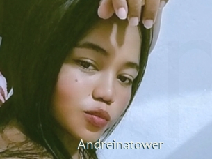 Andreinatower