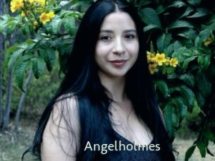 Angelholmes