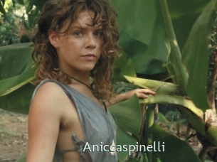 Aniccaspinelli