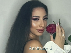 Annitadavid