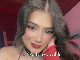 Antonelawildd