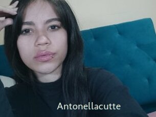 Antonellacutte