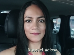 Antonelladiosa