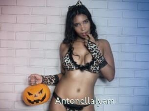 Antonellalyam