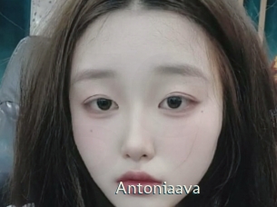 Antoniaava