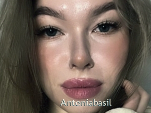 Antoniabasil