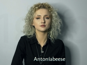 Antoniabeese